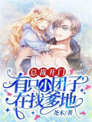 总裁开门,有只小团子在找爹地!