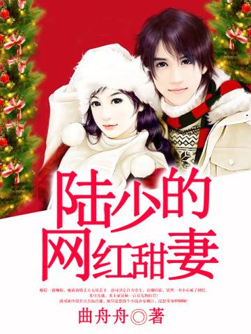 陆少的网红甜妻 陆少的网红甜妻