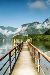 完整章节阅读嫁给军阀大佬后，美千金她要离婚