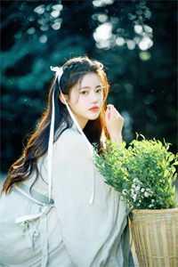 完整章节阅读都市:从狱中走出的神医圣手