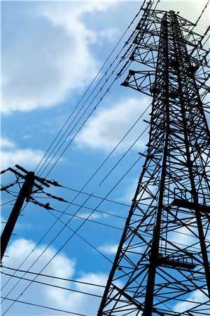 女配外加炮灰的命运,不争也罢畅销书目