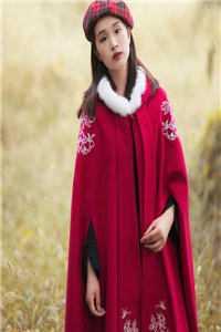 穿到洪荒后,本锦鲤逆袭了畅读精品小说 穿到洪荒后,本锦鲤逆袭了畅读精品小说