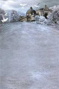 文章精选阅读锁棠春 文章精选阅读锁棠春