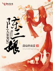 大宋宠妃陈三娘 大宋宠妃陈三娘