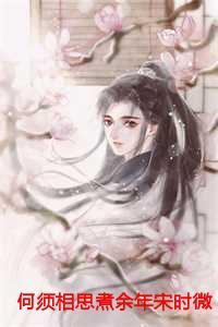 何须相思煮余年宋时微陆云深后续 何须相思煮余年宋时微陆云深后续