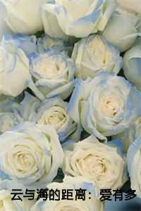 云与海的距离:爱有多远才叫远:许欢颜裴从闻