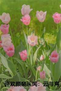 许欢颜裴从闻:云与海的距离结局+番外