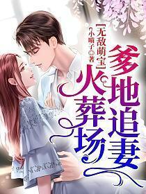 无敌萌宝,爹地追妻火葬场