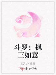 斗罗:枫三如意 斗罗:枫三如意
