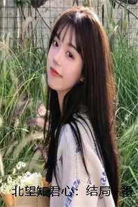 北望知君心：结局+番外