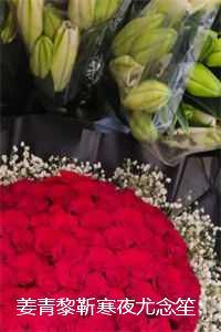 姜青黎靳寒夜尤念笙:全文+后续