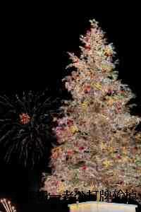 大年初一老公打牌输掉百万救命钱！：结局+番外