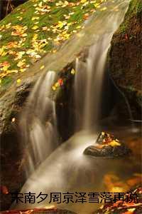 宋南夕周京泽雪落再说爱你:全文+后续+结局 宋南夕周京泽雪落再说爱你:全文+后续+结局