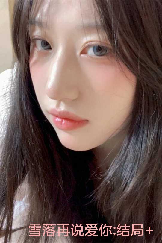 雪落再说爱你:结局+番外