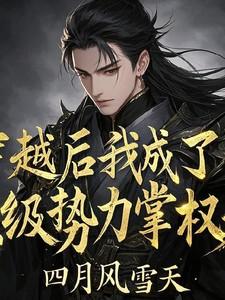 穿越后我成了顶级势力掌权人 穿越后我成了顶级势力掌权人
