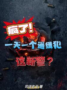 疯了！一天一个通缉犯，这新警？