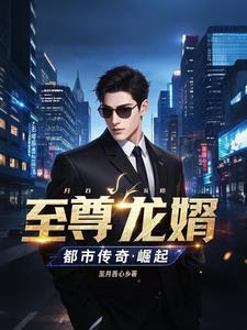 至尊龙婿:都市传奇崛起