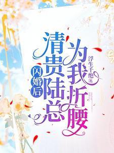 闪婚后，清贵陆总为我折腰