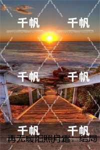 再无暖阳照月霜:全文无弹窗