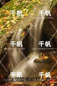 无法凭爱意将我占有：极佳剧情