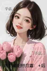 再无暖阳照月霜:+后续+结局