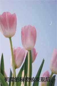 祠堂的秘密被发现后，全村火葬场：极佳剧情