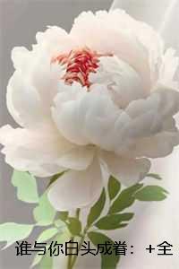 谁与你白头成眷免费品鉴