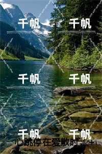 心跳停在爱散时