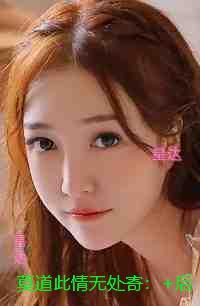 莫道此情无处寄：言情作品