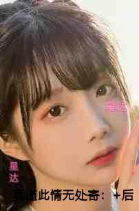 莫道此情无处寄 莫道此情无处寄