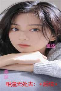 相逢无处去推荐必读