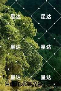 且向山水寻光景：+完本+结局