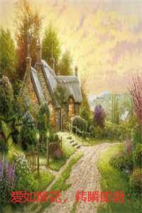 爱如烟花，转瞬即逝：全文无弹窗