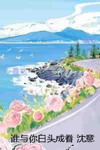 谁与你白头成眷沈意欢陆沉舟：畅读