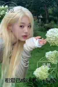 相爱已成往事：小说在线阅读