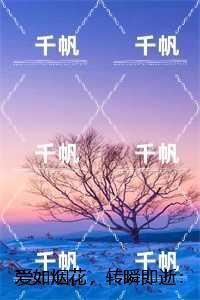 爱如烟花，转瞬即逝：免费+后续