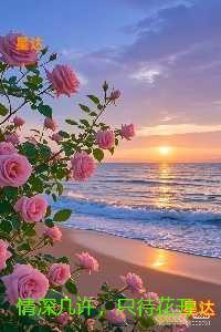 情深几许，只待花开：在线阅读