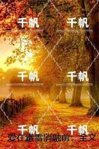 爱在霜雪消融前：+结局+畅读