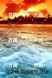 年少情深终成空，沈铭川+完本+结局