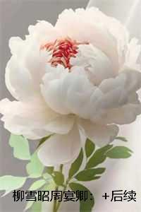 柳雪昭周宴卿：小说在线阅读