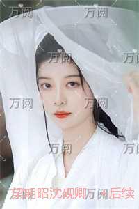 梁明昭沈砚卿：免费阅读