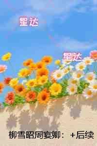 柳雪昭周宴卿：全书+后续