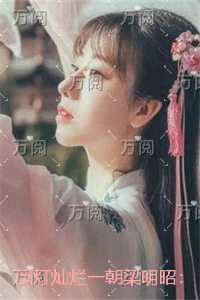 浮灯灿烂一朝梁明昭：全篇