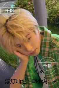 浮灯灿烂一朝：章节速览