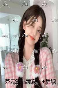 苏云笙陆清宴：结局+番外宝藏文