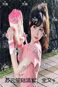 苏云笙陆清宴：高分完本