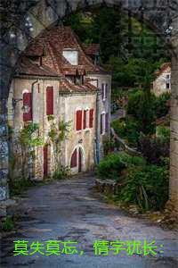 莫失莫忘，情字犹长：全集小说