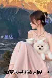 短梦未寻觅故人影：后续全文