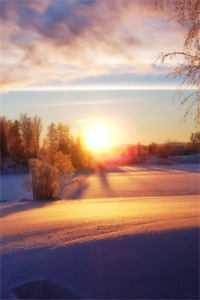 听天由命后,我成了首富在线 听天由命后,我成了首富在线