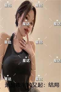 萧瑟夜半风又起：后续更新